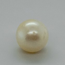 Pearl  (Moti) 5.42 Ct Gem Quality